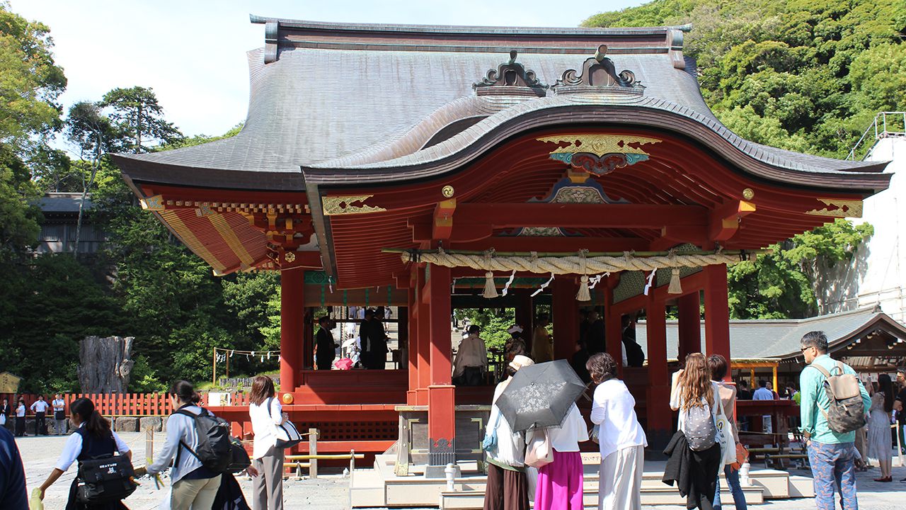 福煦团建日本行